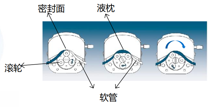 蠕动泵原理.png