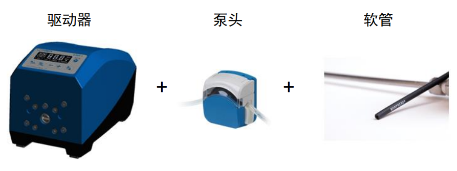 蠕动泵组成.png